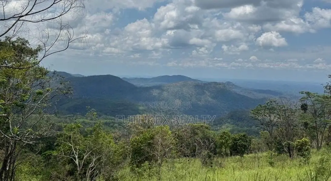 Land for Sale in Haputale