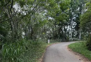 Land for Sale in Haputale