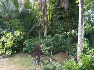 House for Sale Horana