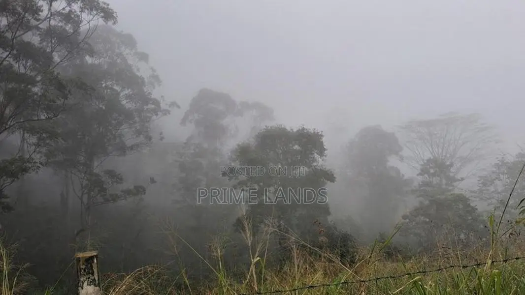 Land for Sale in Pussellawa