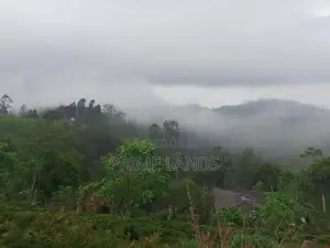 Land for Sale in Kandy Nillabe