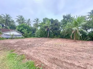Valuable 38-Perch Land for Sale in Dunagaha, Minuwangoda