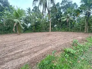 Valuable 38-Perch Land for Sale in Dunagaha, Minuwangoda