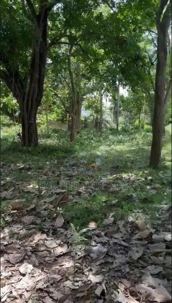 Land for Sale Anuradhapura City Limits