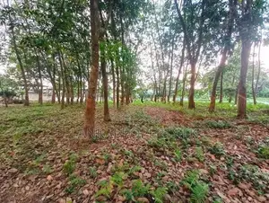 Prime Commercial Rubber Land for Sale in Biyagama