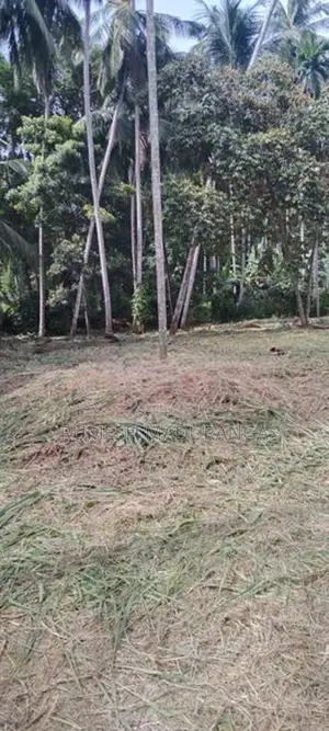 Land Facing Beliatta -Kirinda Main Road
