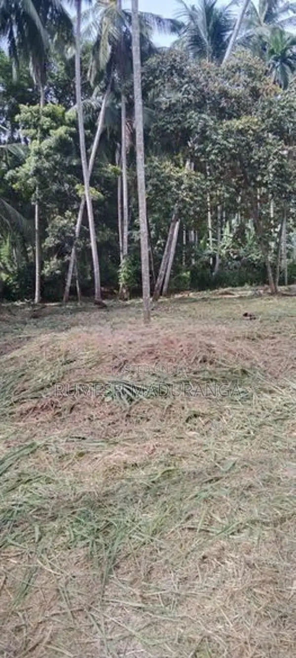 Land Facing Beliatta -Kirinda Main Road