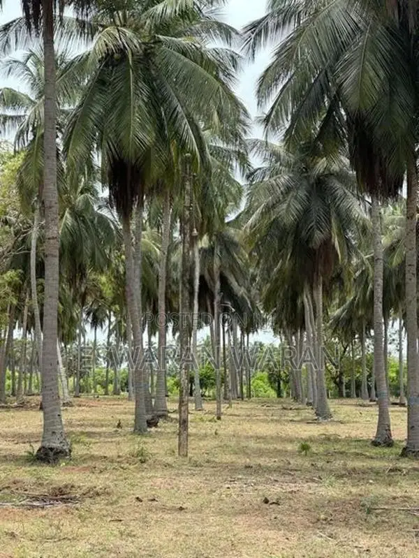 Land for Sale Batticaloa