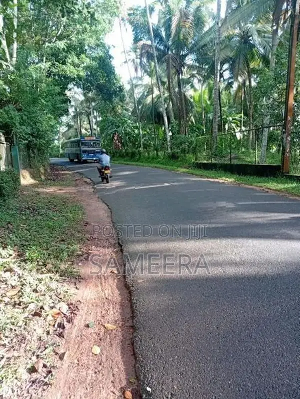 6 Acres Land for Sale Matara