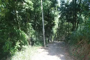 3 Acres of Land for Sale Kandy
