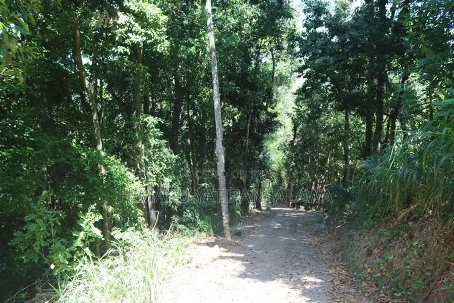 3 Acres of Land for Sale Kandy
