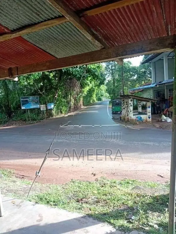 6 Acres Land for Sale Matara