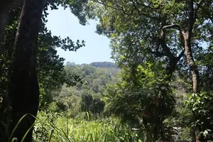 3 Acres of Land for Sale Kandy