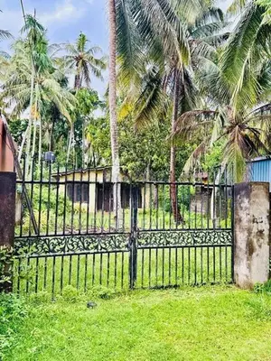 වත්තල උස්වැටකෙයියාවෙන් පදිංචියටපර්චස් 23ක ඉඩමක්