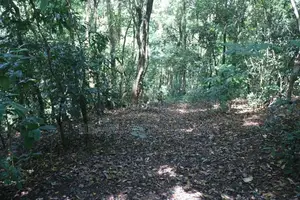 3 Acres of Land for Sale Kandy
