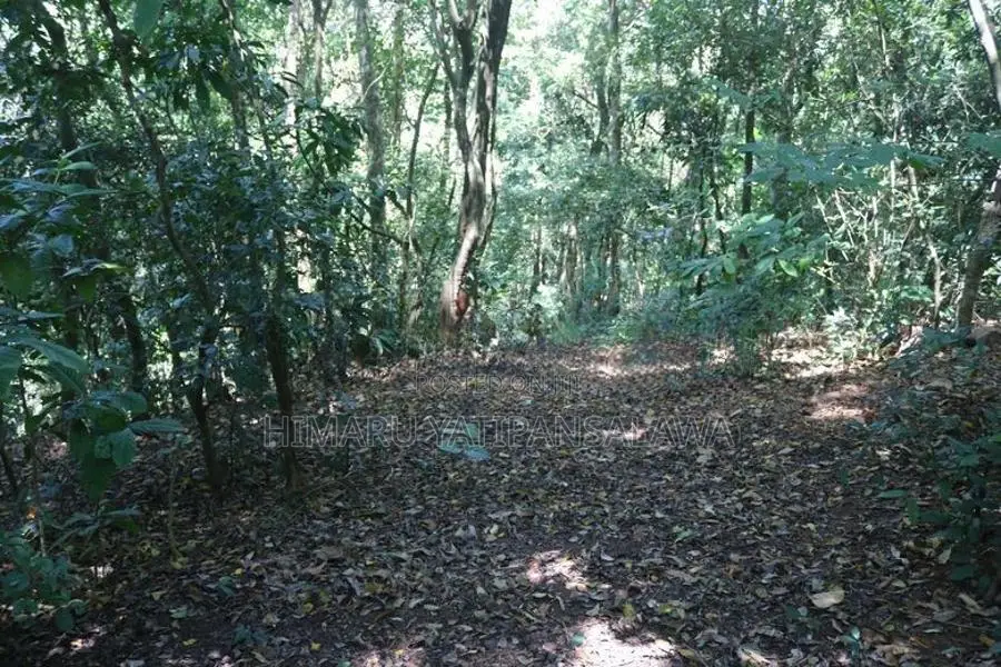 3 Acres of Land for Sale Kandy
