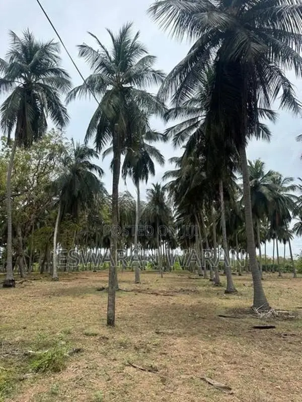 Land for Sale Batticaloa