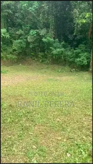 මාතලේ - රිවර්ස්ටන් පාරේ වටිනා සින්නක්කර ඔප්පු ඉඩමක් විකිණීමට