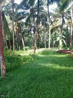 6 Acres Land for Sale Matara