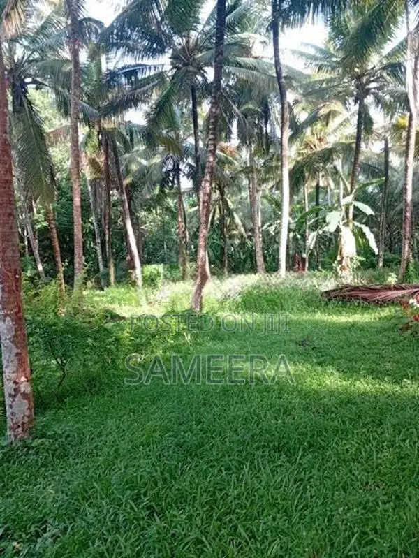 6 Acres Land for Sale Matara