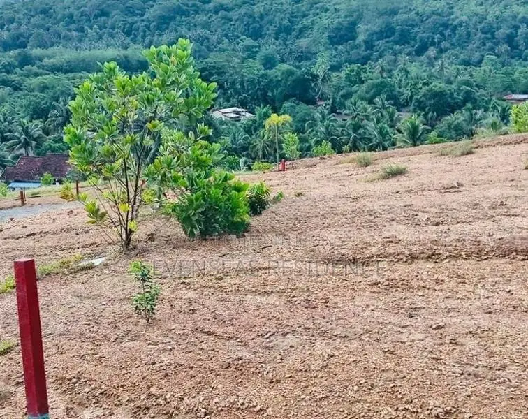 Best plots for sale in Avissawella city