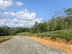 Residential plots for sale in Eheliyagoda town