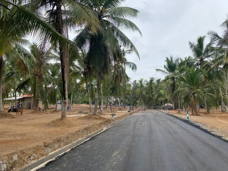 කඩවත බිම්කොටස්