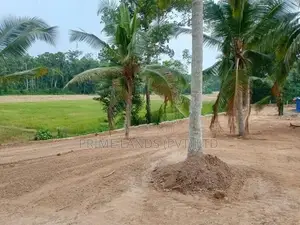 කඩවත බිම්කොටස්