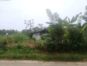 Land for Sale in Akurugoda, Matara