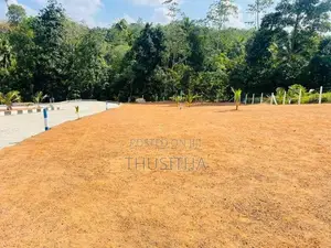 Yakkala Kalagedihena Valuable Land Plot for Sale