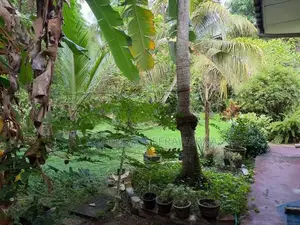 Land for Sale Hikkaduwa
