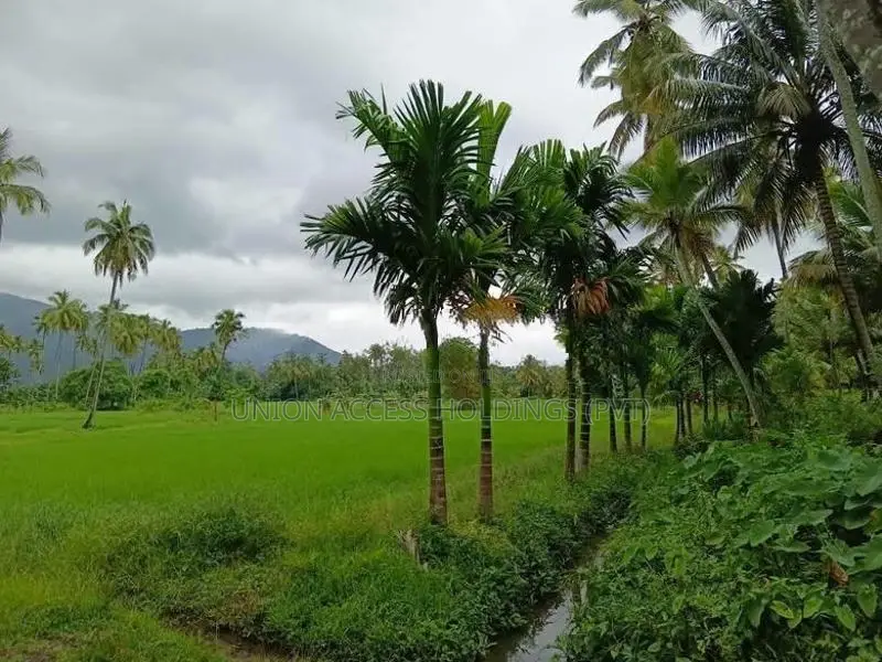 කුරැණැගල වැල්ලව අතුරැ බස් මාර්ගයට මුහුනලා සරුසාර පොල් ඉඩමක්