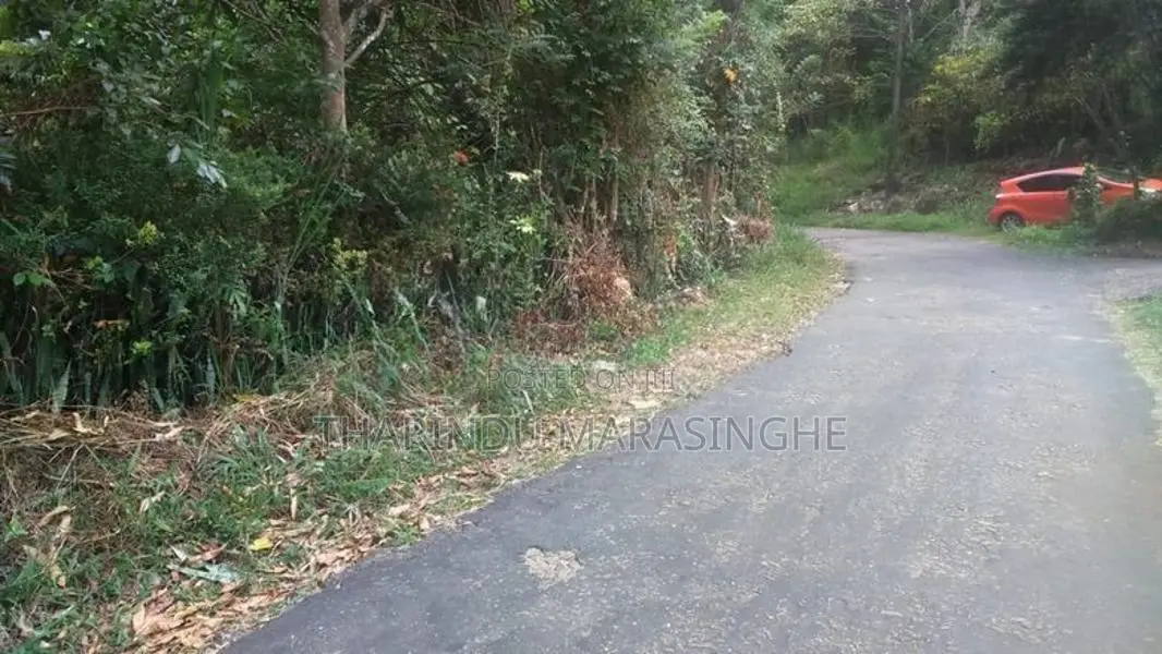 Land For Sale in Norton Bridge Ginigathhena
