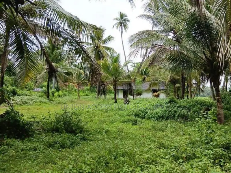 කුරැණැගල වැල්ලව අතුරැ බස් මාර්ගයට මුහුනලා සරුසාර පොල් ඉඩමක්