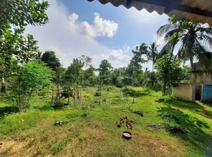 35 perch Land for sale in Katana