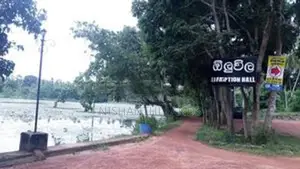 මිනුවන්ගොඩින් වටිනා ඉඩමක් විකිණීමට