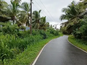 කුරැණැගල වැල්ලව අතුරැ බස් මාර්ගයට මුහුනලා සරුසාර පොල් ඉඩමක්