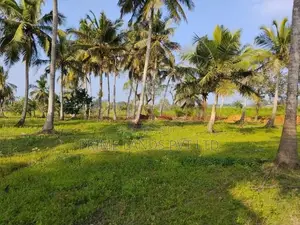 Land for Sale in Anuradhapura Nachchaduwa Road