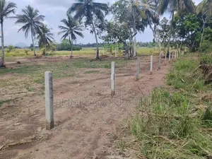 Land for Sale in Anuradhapura Nachchaduwa Road