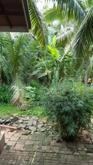 52perch Land with swimming pool House for sale in Godigamuwa