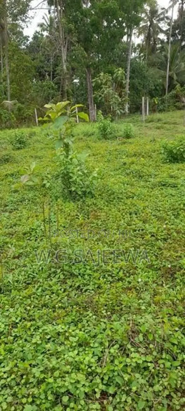 15perch Land for sale in kandawala katana