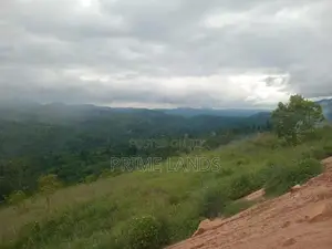 Land For Sale Nillamba