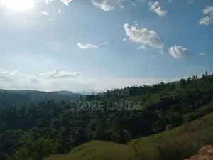 Land For Sale Deltota