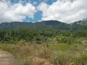Land for Sale Deltota