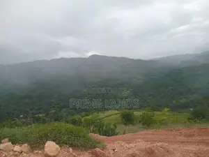 Land For Sale Nillamba