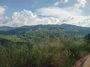 Land for Sale Nillamba