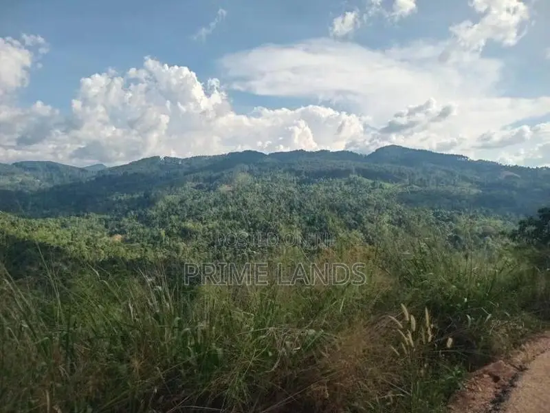 Land for Sale Nillamba