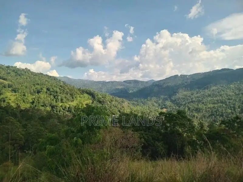 Land for Sale Nillamba