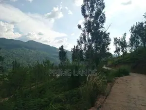 Land for Sale Galaha
