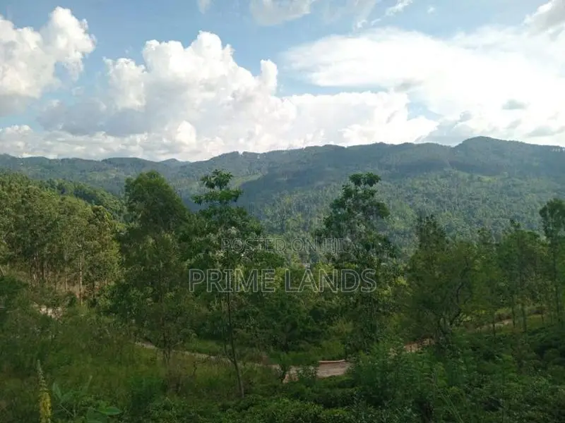 Land for Sale Nillamba
